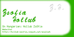 zsofia hollub business card